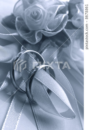 Wedding rings 8678861