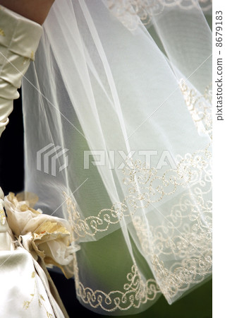 Wedding veil 8679183