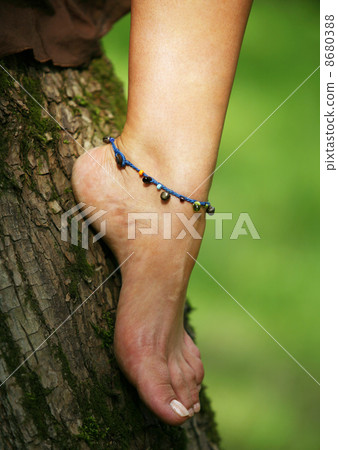 woman legs woman legs 8680388