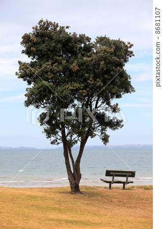 Anybody Anybody 8681107