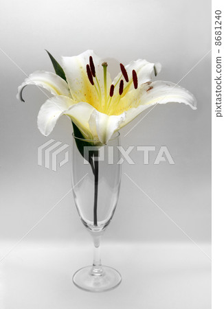 Glass with a flower Glass with a flower 8681240