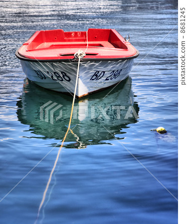Boat 8681245