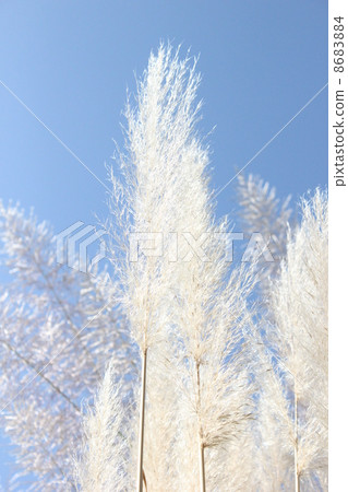 Ravenna glass 8683884