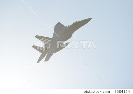 老鷹 鷹 築城空軍基地 8684154