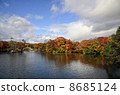 Autumn leaves of Onuma 8685124
