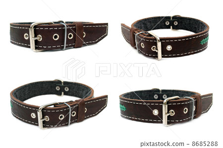 Collars 8685288