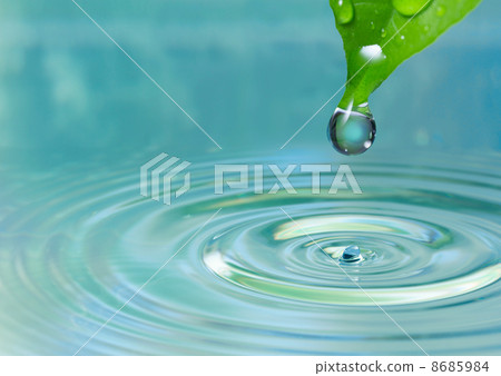 Green leaf with water drop Green leaf with water drop 8685984