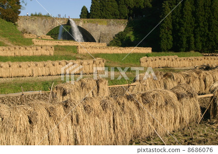 Scenes from scenes of Jonbu-bashi and rice terraces Scenes from scenes of Jonbu-bashi and rice terraces 8686076