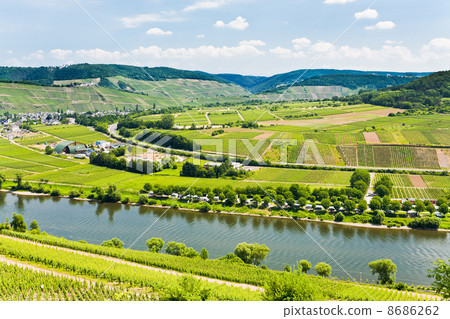 panorama of Moselle valley, Germany 8686262