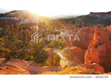 Bryce Bryce 8686294
