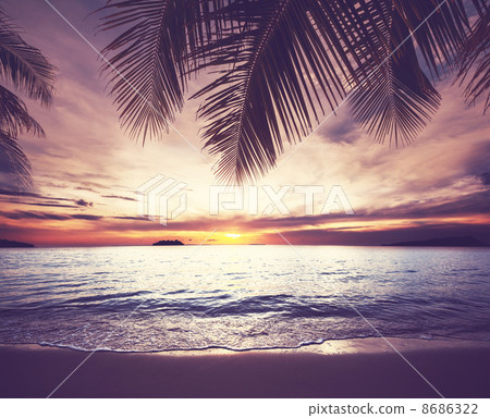 Tropical beach Tropical beach 8686322