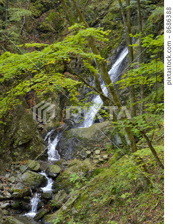 Oilfall 8686388