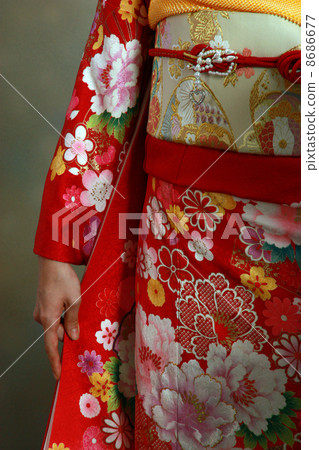 Kimono Kimono 8686677