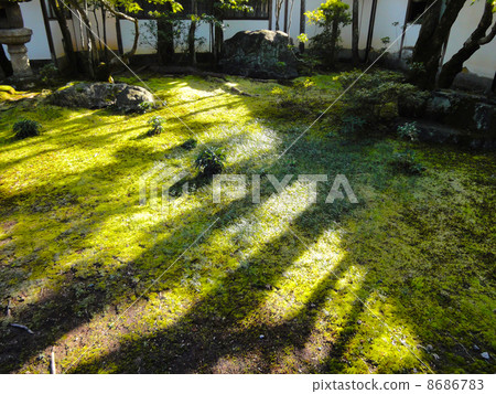 Old Miyamuro Imperial Garden of Ninna-ji Temple Old Miyamuro Imperial Garden of Ninna-ji Temple 8686783