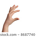 hand 8687740