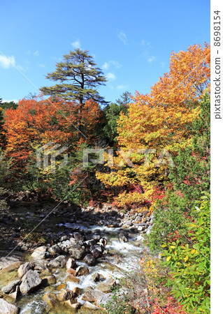 Akazawa自然休閒森林·秋葉 8698154