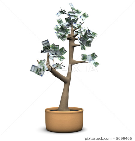 Money Tree Money Tree 8699466