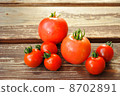 收穫的西紅柿 8702891