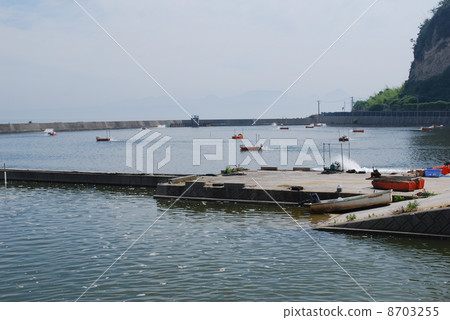 蝦蝦養殖場 蝦蝦養殖場 8703255