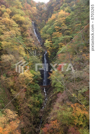 Immovable Falls 8703265