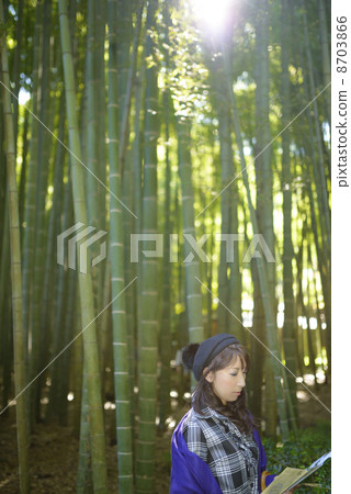 Female tourists Autumn's Kamakura Hogokuji 8703866