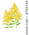 Ragweed 8704194