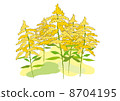 Ragweed 8704195