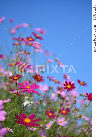 宇宙和秋季的天氣 8705137