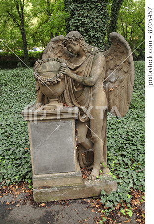Mourning angel 8705457
