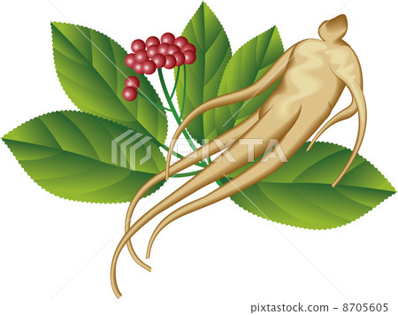 Ginseng 8705605