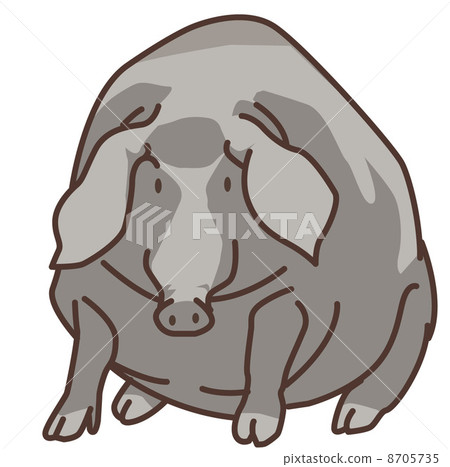 Iberian pig 8705735