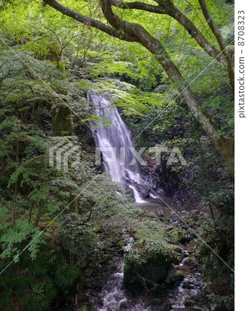Tamadare Falls 8708323