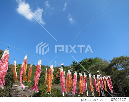    Carp streamer 8709527