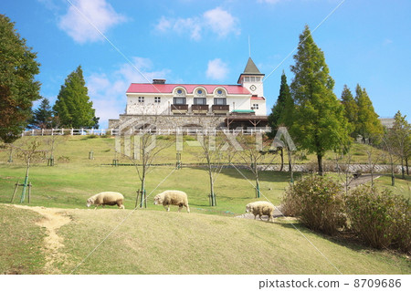 Sheep Sheep 8709686