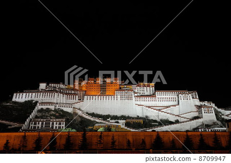 Potala Palace 8709947