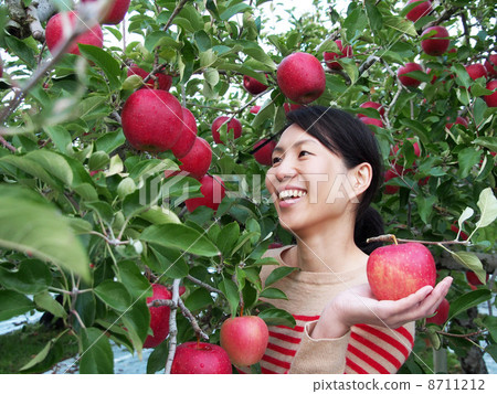 蘋果狩獵 8711212