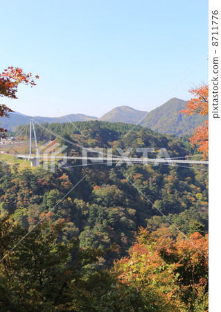 Kokonoe Yumei Suspension bridge in autumn 8711776