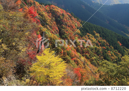 Otagichihara的秋天 8712220