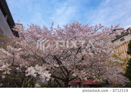 Gion Shirakawa Yo Takenakura Gion Shirakawa Yo Takenakura 8712519