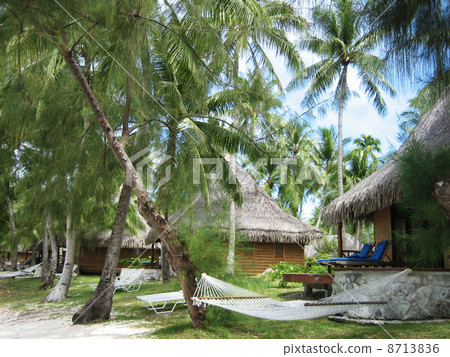 Surrounded by the great nature of Tahiti, I was invited by a naughty nap Surrounded by the great nature of Tahiti, I was invited by a naughty nap 8713836