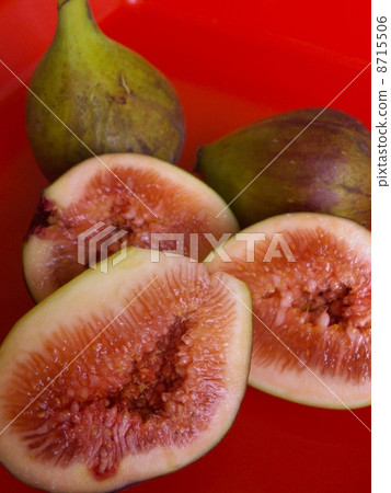 fig fig 8715506