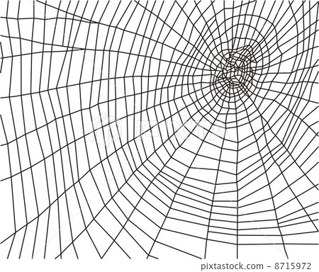 Cobweb 8715972