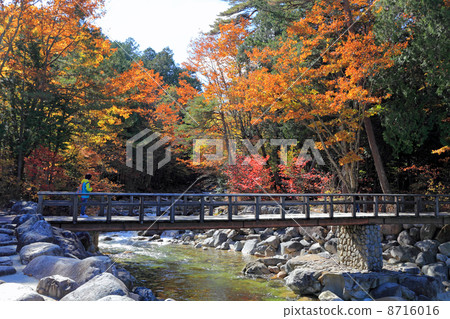 Akazawa自然休閒森林秋葉 8716016