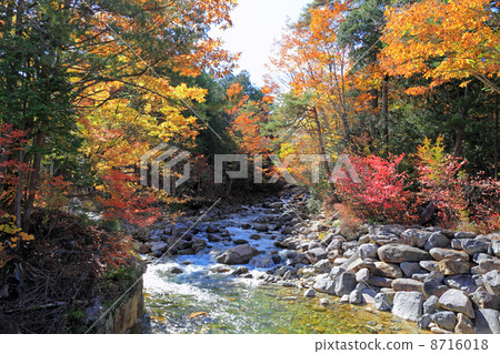 Akazawa自然休閒森林秋葉 Akazawa自然休閒森林秋葉 8716018