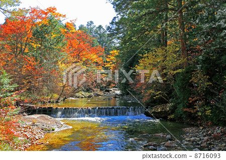 Autumnal floor weir Autumnal floor weir 8716093