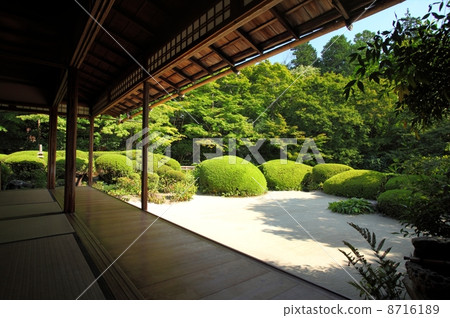 Japanese garden Japanese garden 8716189