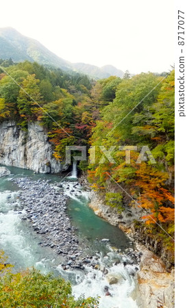 Bamboo top bridge 8717077