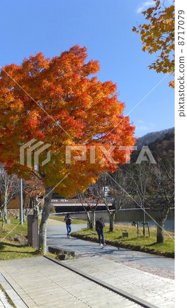 Autumn leaves on the shores of Lake Chuzenji 8717079