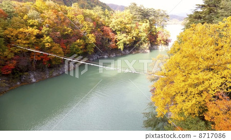 Kawamata Lake from Kumano-Sawabashi 8717086