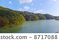 Autumn leaves from the Momiji Valley Big Suspension Bridge 8717088